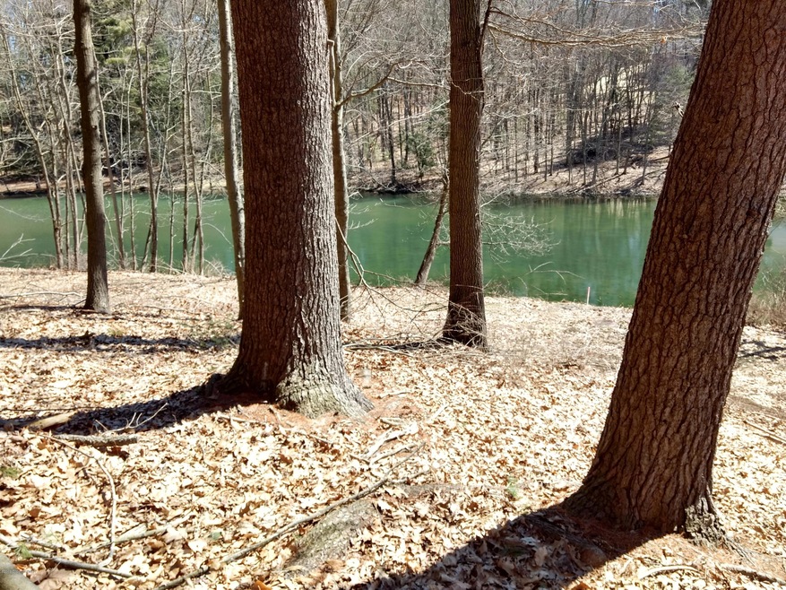 0 Arlington Ave, Stroud Township, PA 18360 - photo 1