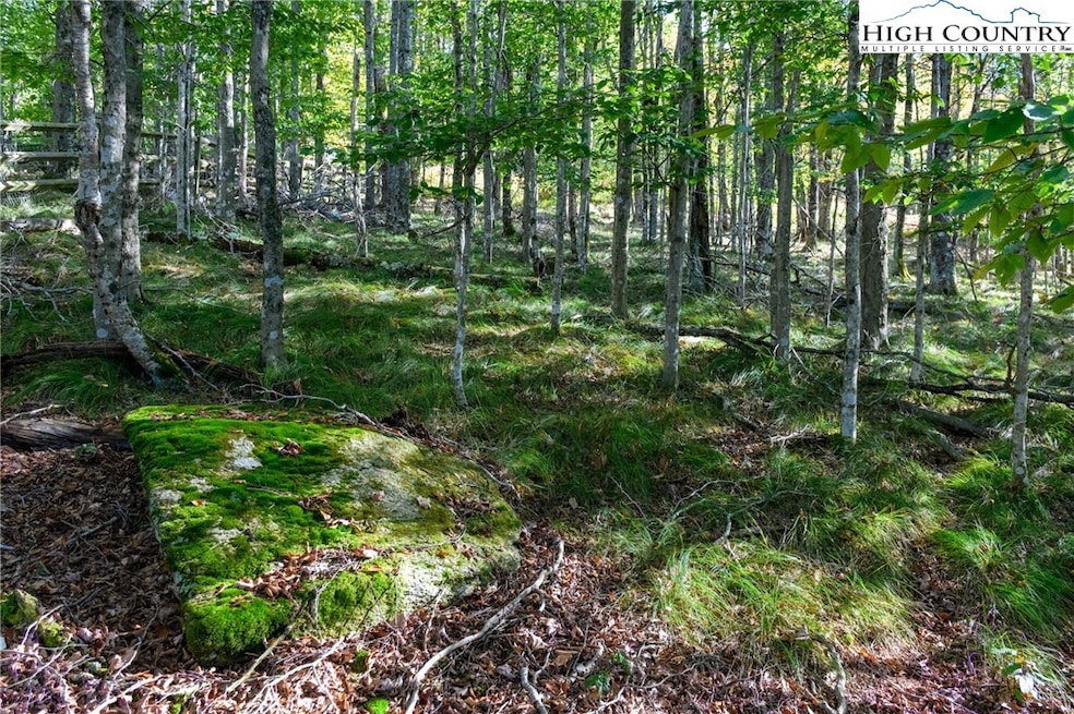 123 Briarwood Ln, Beech Mountain, NC 28604 - photo 1