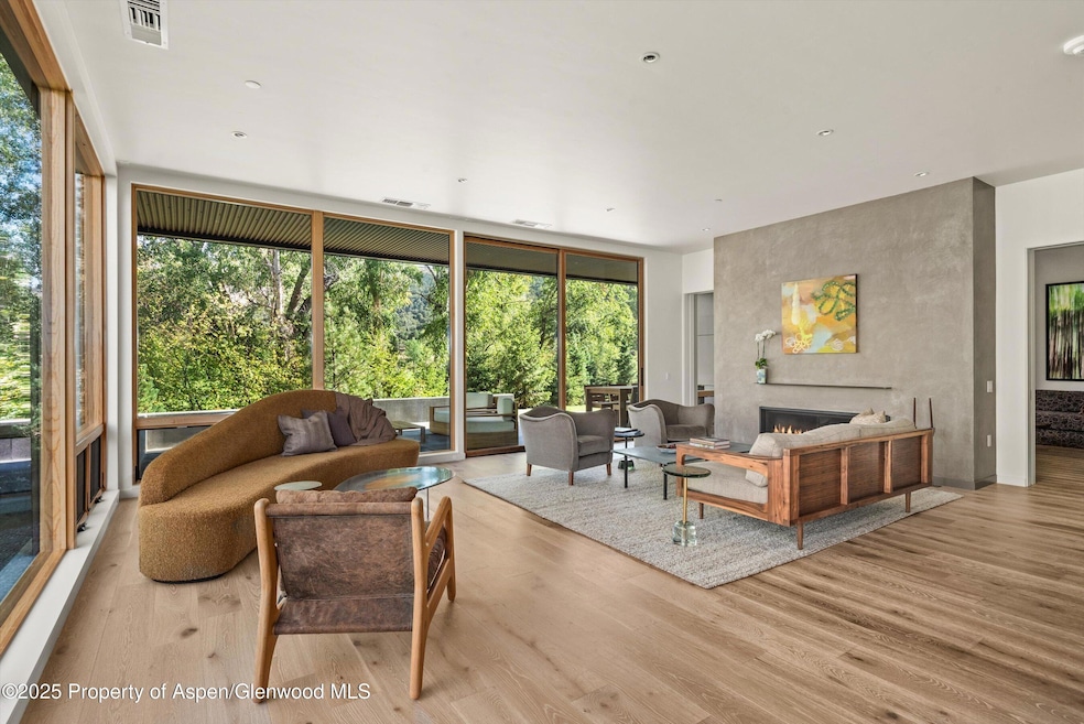 103 Willow Rd unit 107, Basalt, CO 81621 - photo 1