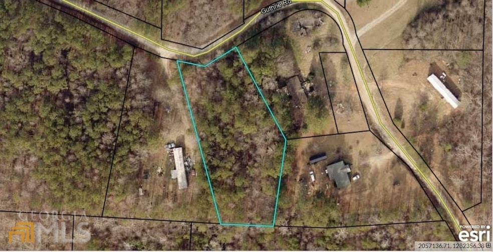 1AC Guthrie Rd, Whitesburg, GA 30185 - photo 1