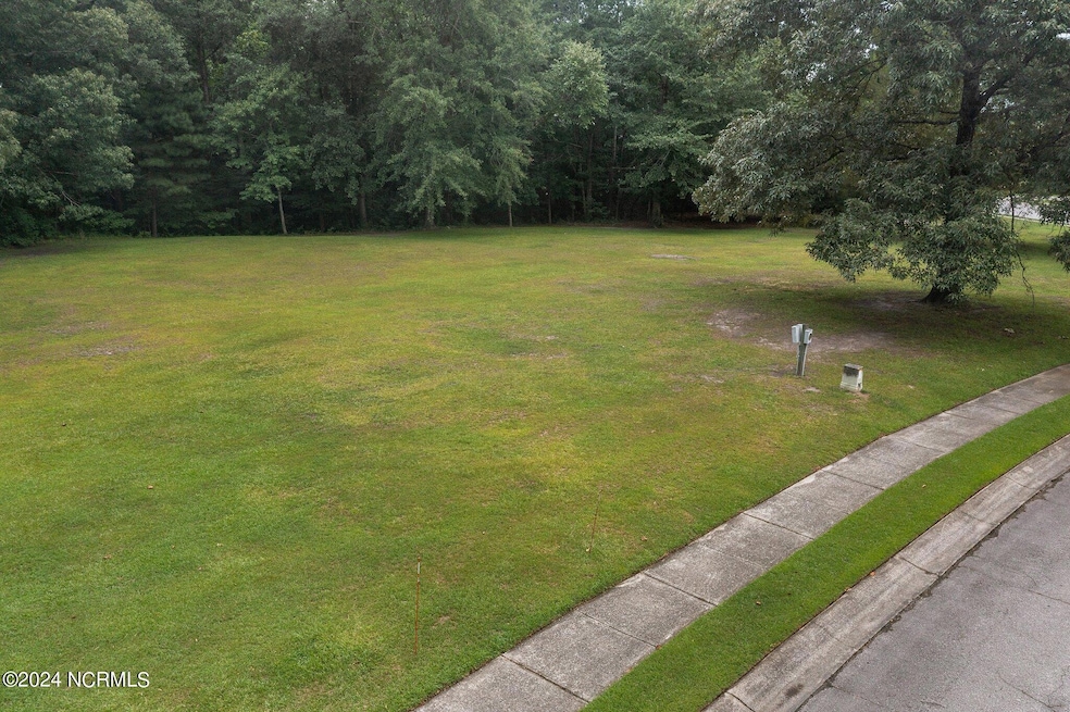 000 Morgan, Jacksonville, NC 28540 - photo 1