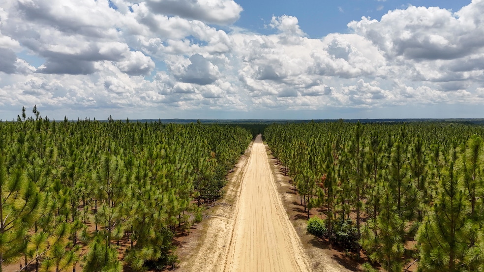 0 Beaver Dam Rd unit 25030817, Cassatt, SC 29032 - photo 1