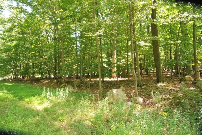 52 Mountain Rd, Hopatcong, NJ 07843 - photo 1