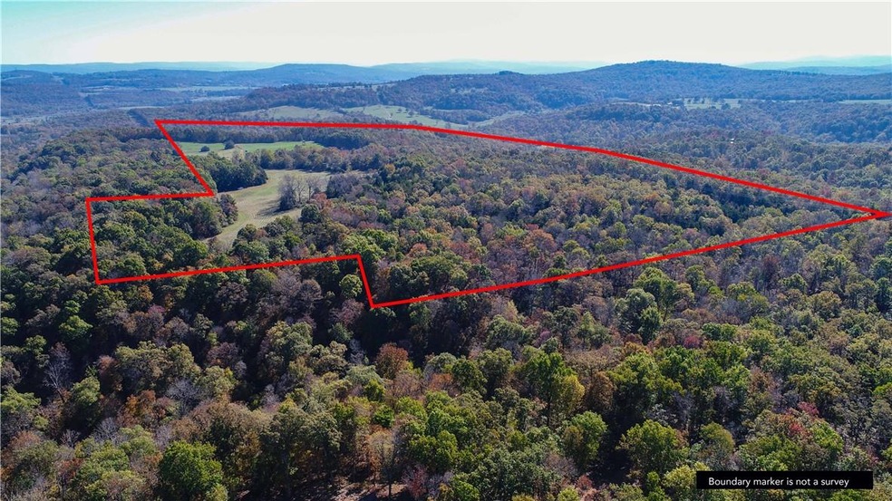 16085 E Black Oak Rd, Fayetteville, AR 72701 - photo 1