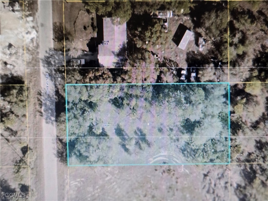 1112 Roosevelt Ave, Lehigh Acres, FL 33936 - photo 1