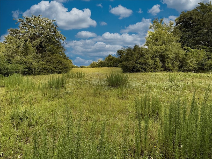 TBD E Old Hickory Grove Road Co Ne County Rd NE, Franklin, TX 77856 - photo 1