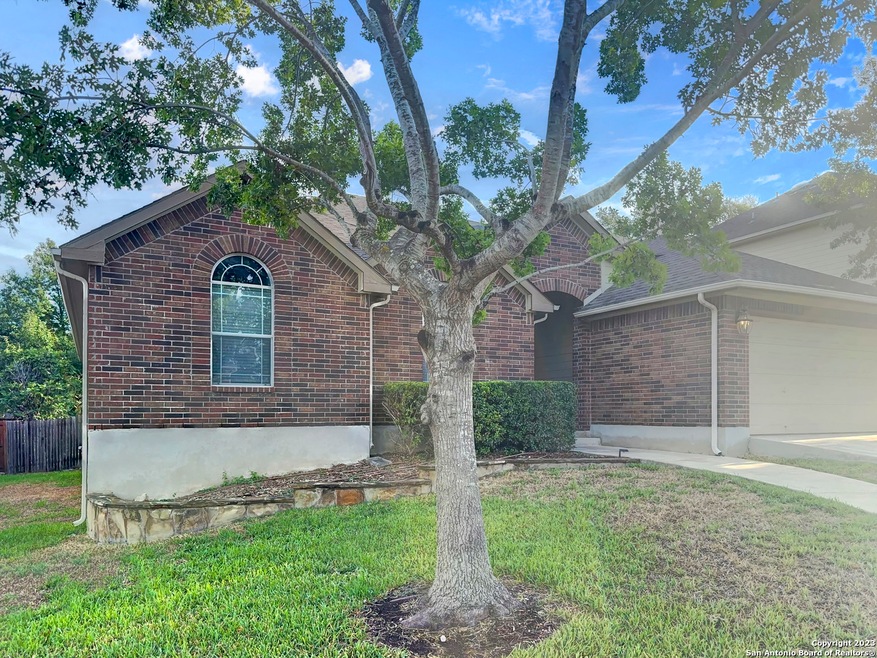 3627 Globe Willow, San Antonio, TX 78261 - photo 1