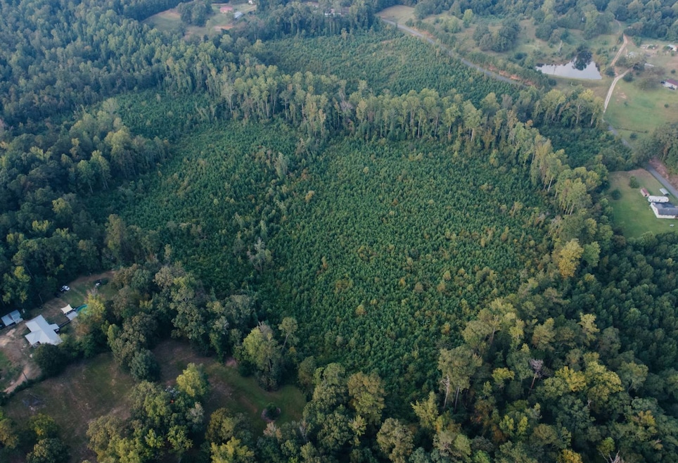 9230 Blizzard Rd, Meridian, MS 39305 - photo 1