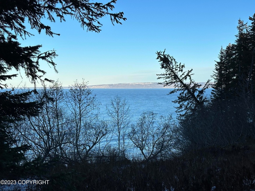 Homer/Anchor Point