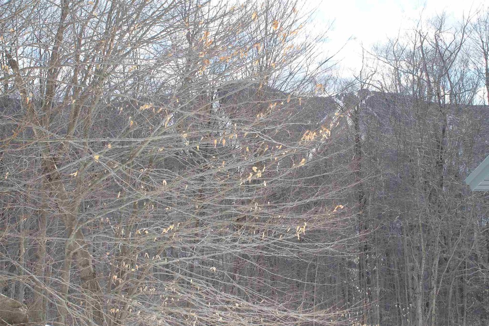 118 Clearbrook Rd, Lincoln, NH 03251 - photo 1