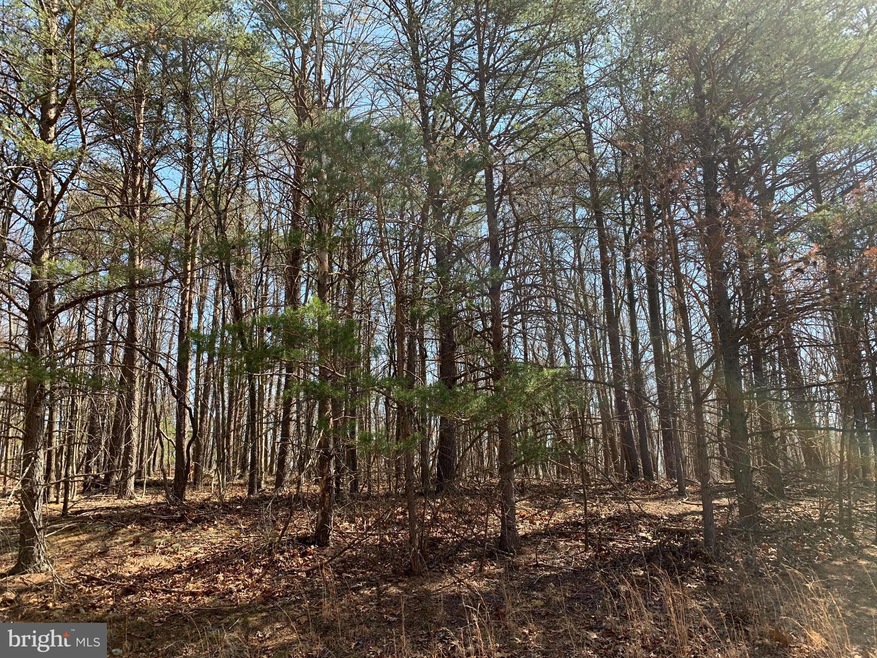 Lot #8 Redbud Ln, Bethel Township, PA 17267 - photo 1