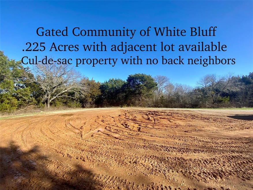 1275 Paint Brush Ct, Whitney, TX 76692 - photo 1