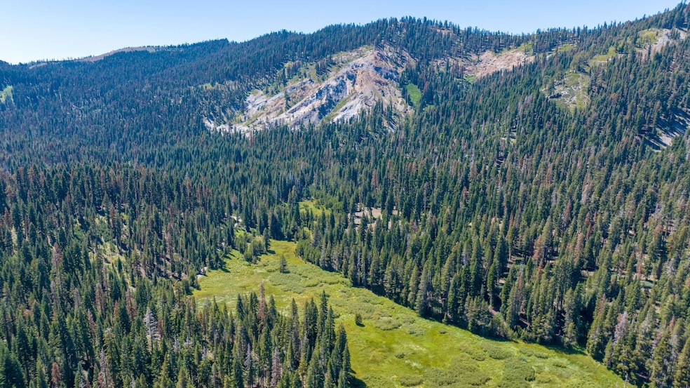 14500 Sloat McRae Rd, Johnsville, CA 96103 MLS 20230872