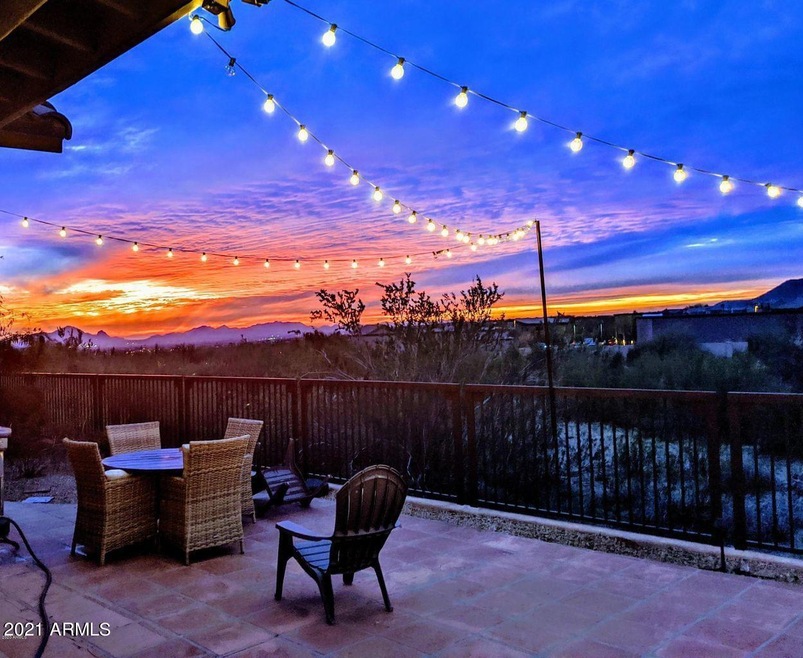 Lupine twilight backyard