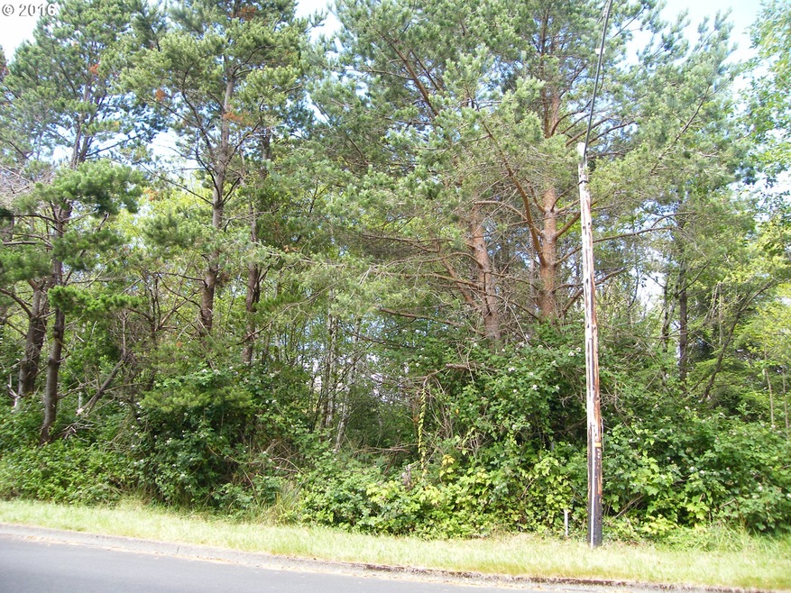 3273 SE Fleet Ave, Lincoln City, OR 97367 - photo 1