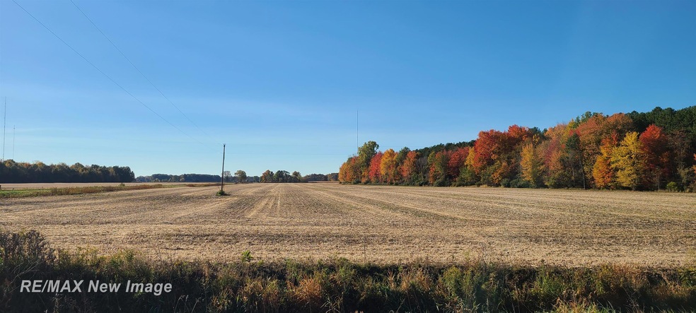 12000 Amman Rd, Saint Charles, MI 48655 - photo 1