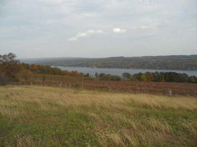 Land