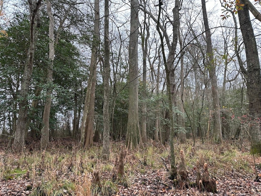 000 Fleming Mill Rd, Pocomoke City, MD 21851 - photo 1