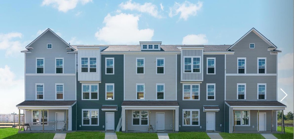 Exterior Ibis