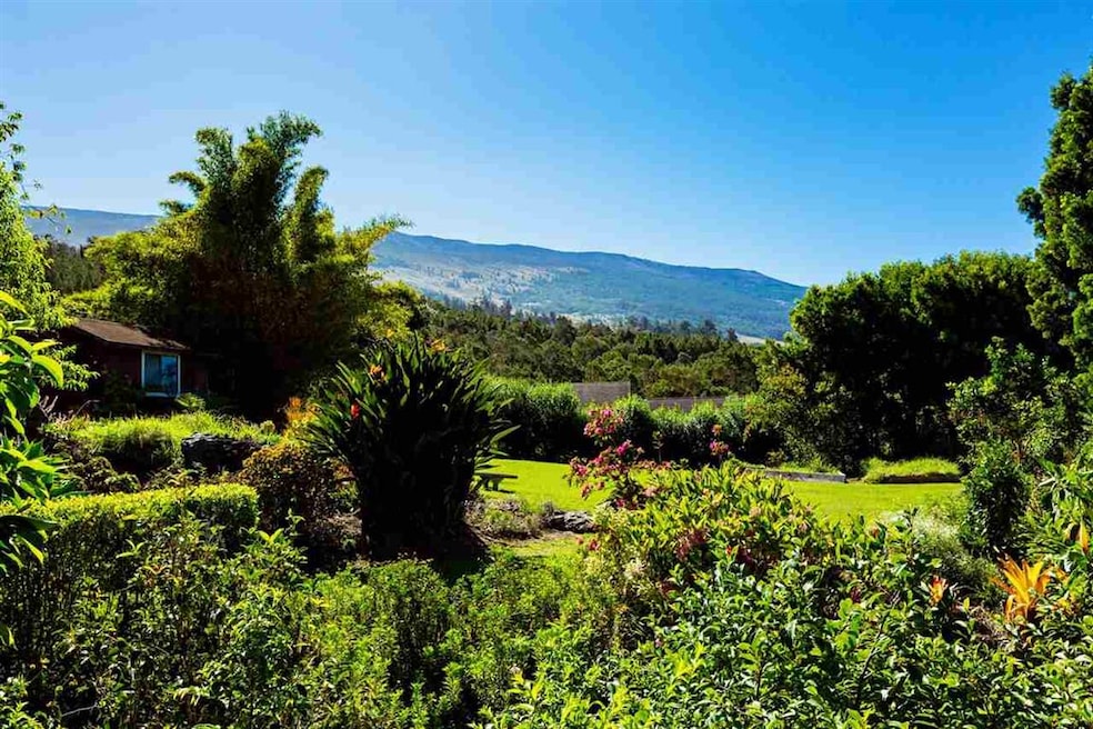 890 Upper Kimo Dr, Kula, HI 96790 - photo 1