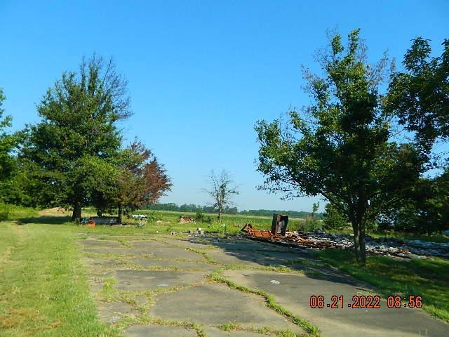 Main View