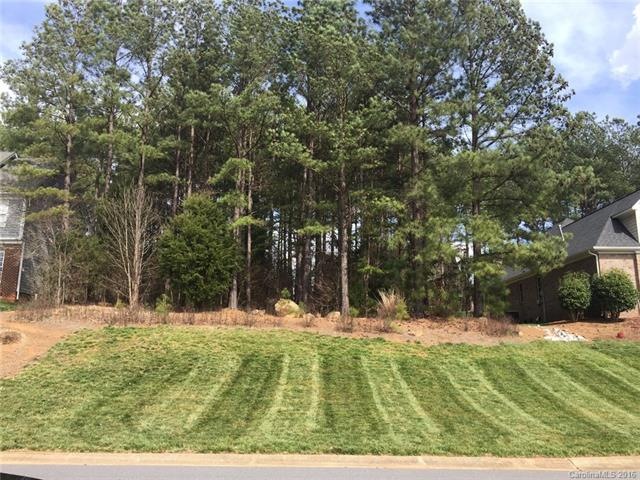 0 Mt Carmel Cir unit 61 3154794, Denver, NC 28037 - photo 1