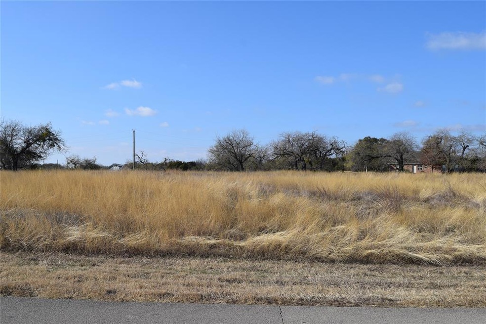 19132 White Bluff Dr, Whitney, TX 76692 - photo 1