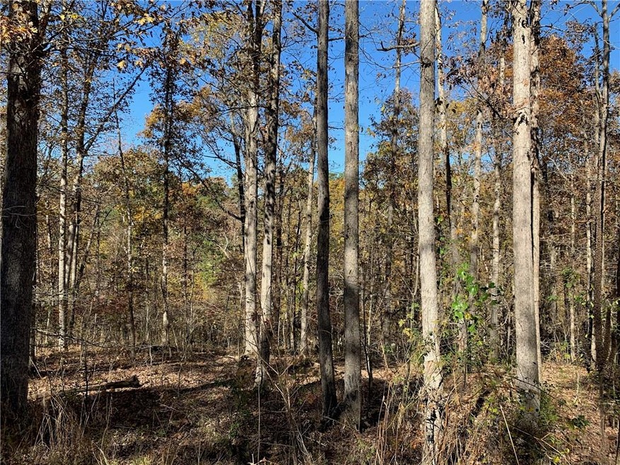 Lot 5 Brooks Cir, Bella Vista, AR 72703 - photo 1