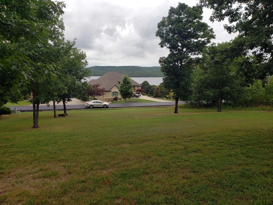 111 Summer Rd, Ruth B Rural Township, MO 65686 - photo 1