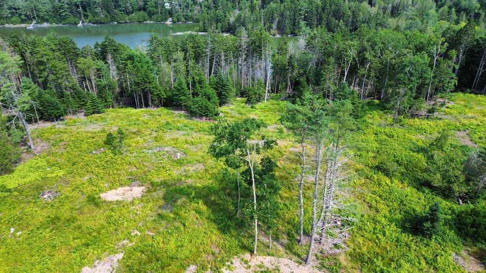 dji_fly_20240713_153944_880_172091594833