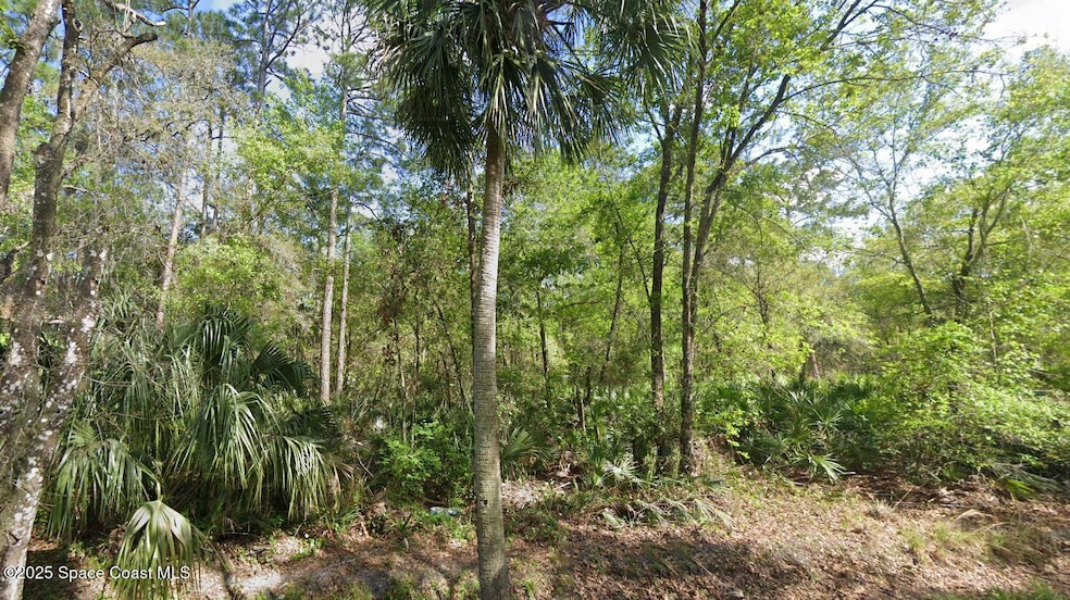 0 Quail Ranch Rd unit 1045380, New Smyrna Beach, FL 32168 - photo 1