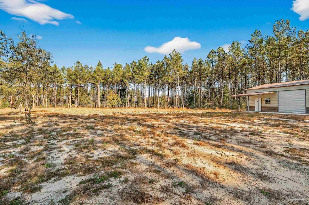 1421 Mineral Springs Rd, Jay, FL 32565 - photo 1