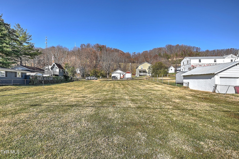 1009 E Main St, Johnson City, TN 37601 - photo 1