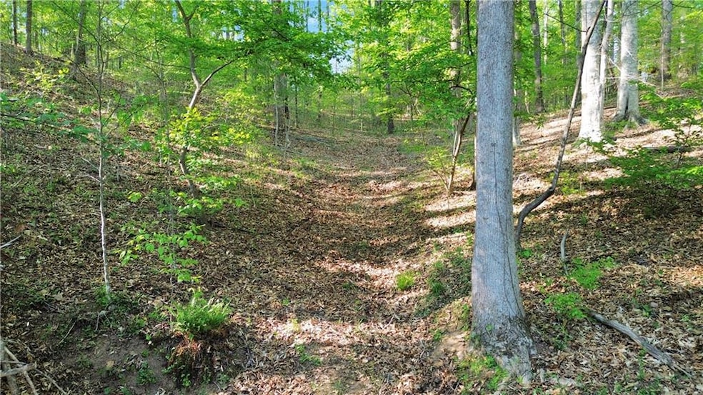 View of nature with a wooded view