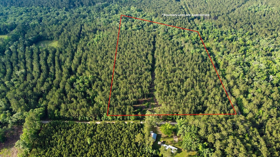 Blue Sparks SC Land for Sale-01