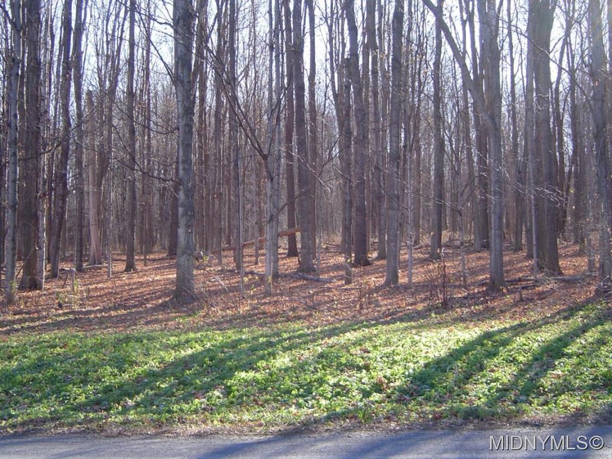 Level Wooded Lot