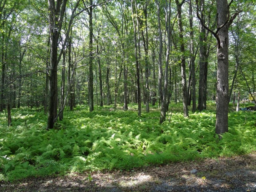 0 White Birch Rd unit 636523, Lehighton, PA 18235 - photo 1