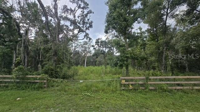 0 Table Rock Dr unit MFRTB8418470, Webster, FL 33597 - photo 1