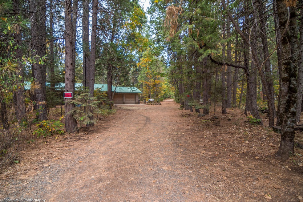 A home in the woods