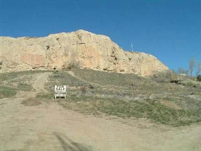 Primary Photo