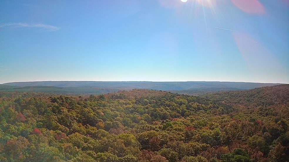 0000 Dump Mountain Rd, Mountain View, AR 72560 - photo 1