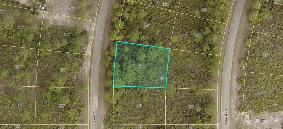 1257 Barnet Ave, Lehigh Acres, FL 33913 - photo 1