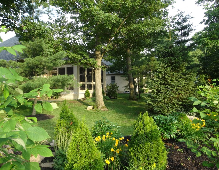 Rear yard to porch