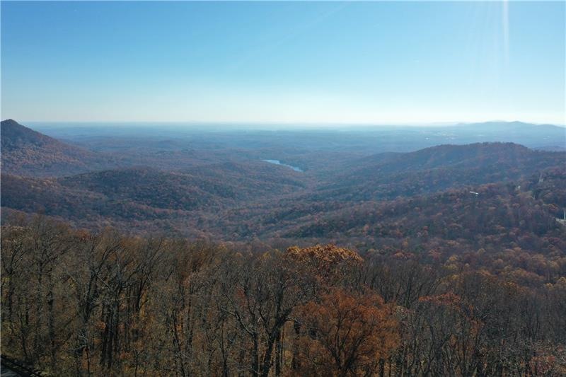 Tree top view looking south