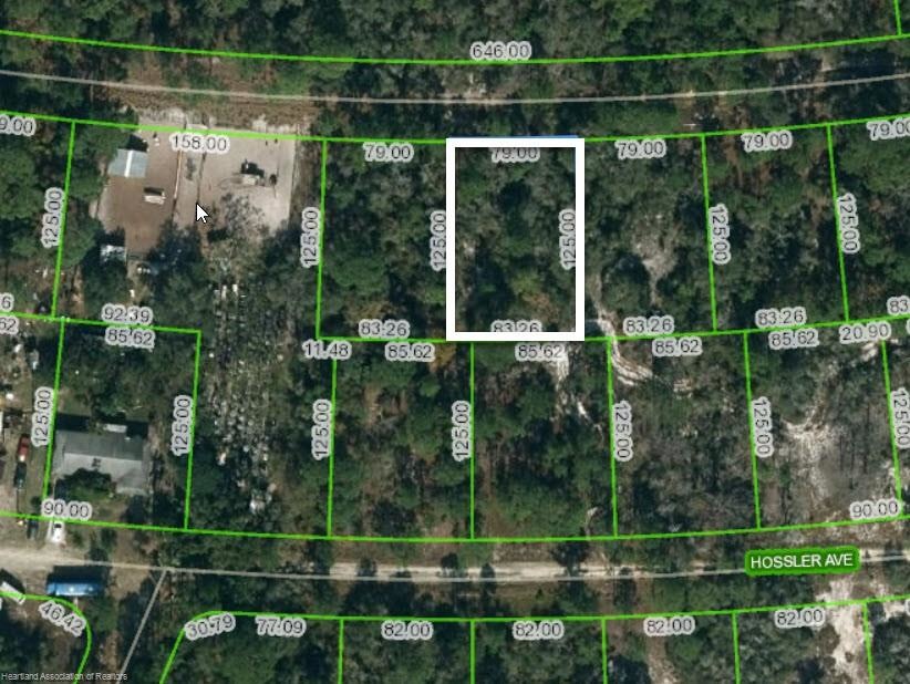 361 Stardust Ave, Lake Placid, FL 33852 - photo 1