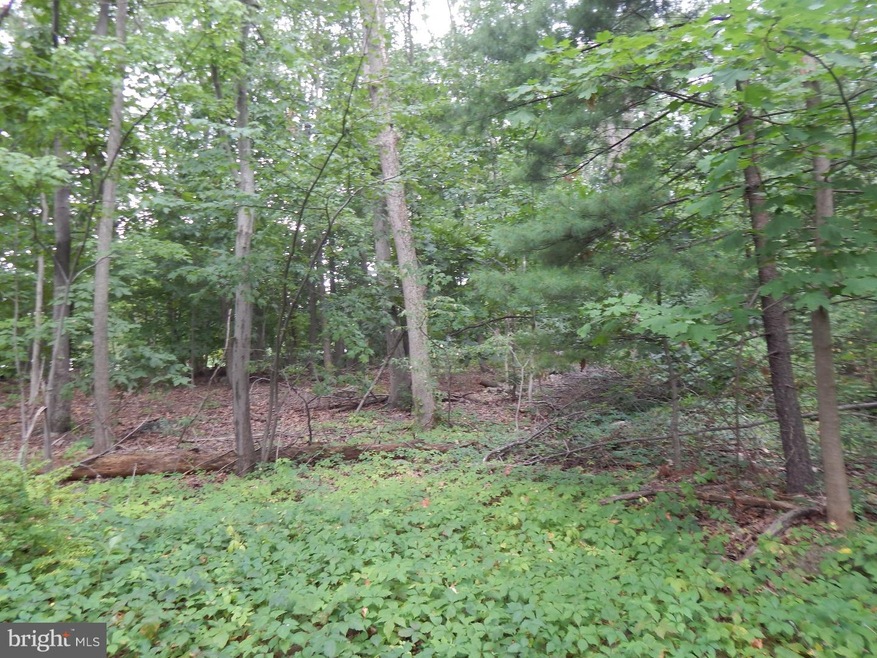 L:9391 Kulps Rd, Barto, PA 19504 - photo 1