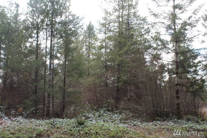 61 W Lot On Fish Hatchery Rd, Matlock, WA 98541 - photo 1