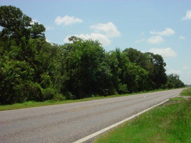 0 Fm 2611 unit 770599, Brazoria, TX 77422 - photo 1