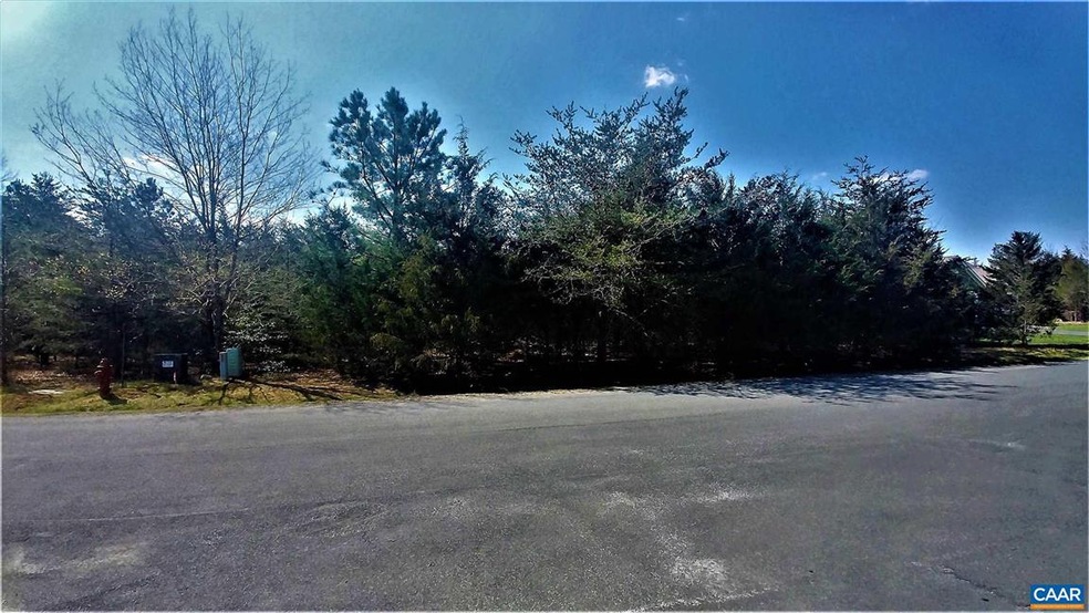 444 Hunters Point, Nellysford, VA 22958 - photo 1