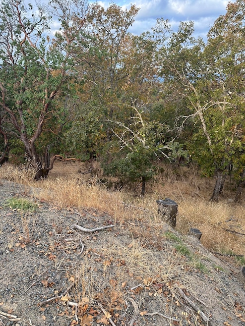 View over looking valley